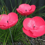 poppy-stakes