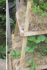 DIY-strawberry-tower