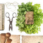 Online herb workshop