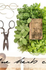 Online herb workshop