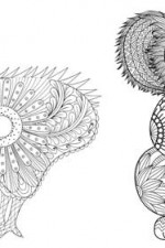 Kiwi and koala colouring pages