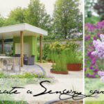How to create a sensory garden