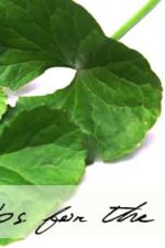 Grow gotu kola for memory and arthritis