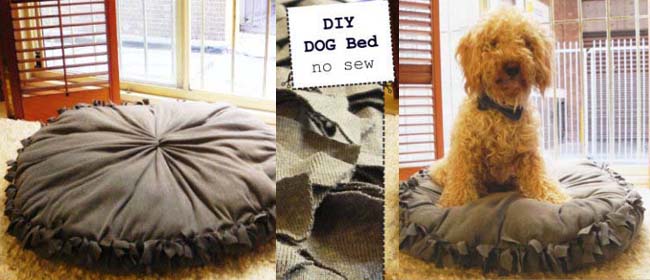 diy dog bed no sew