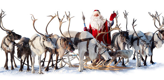 DIY: Make eco-friendly reindeer dust