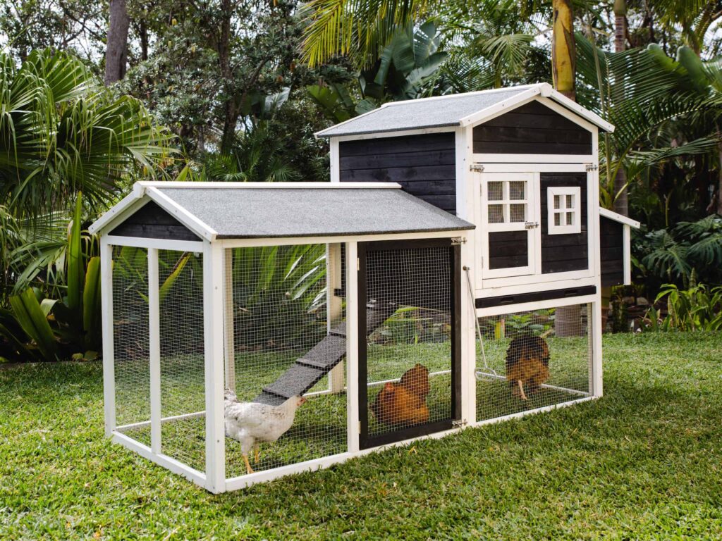 Chicken coop by Somerzby